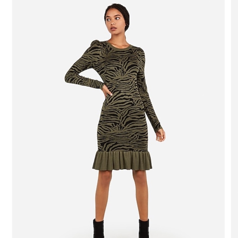 Express Zebra Print Sweater Dress